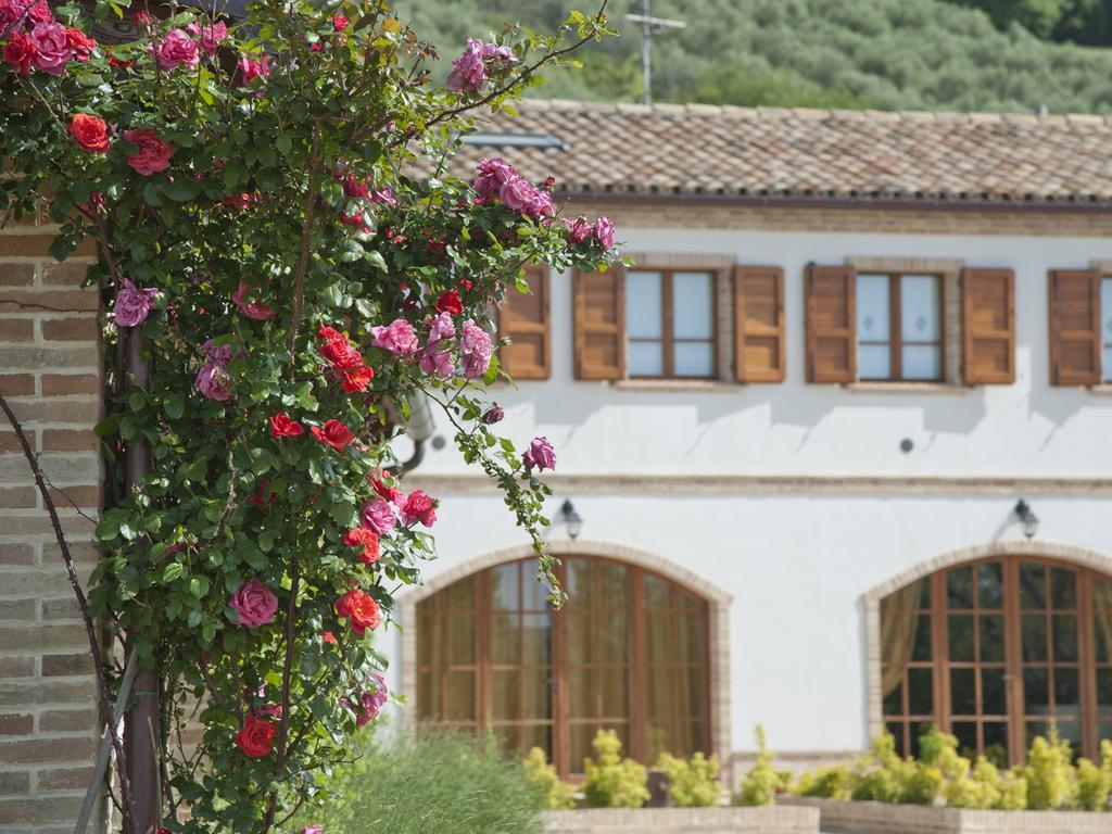 Villa Terra Del Sole à Recanati Extérieur photo